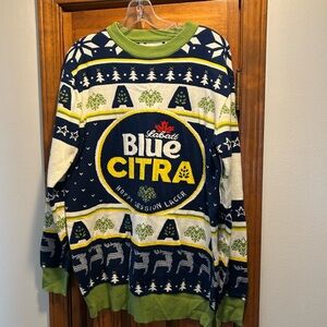Blue Citra Men's Sweater - Blue and Green